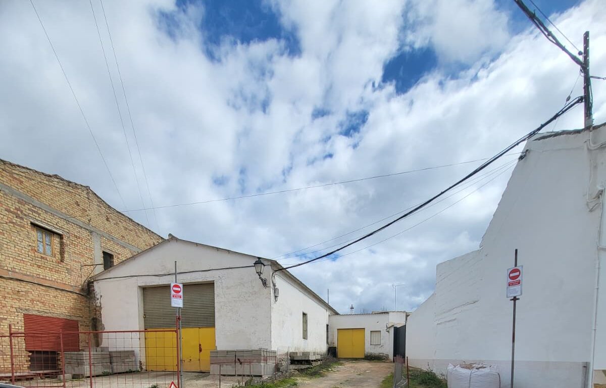 WhatsApp Image 2026 03 10 at 12.56.51 e1773143878343