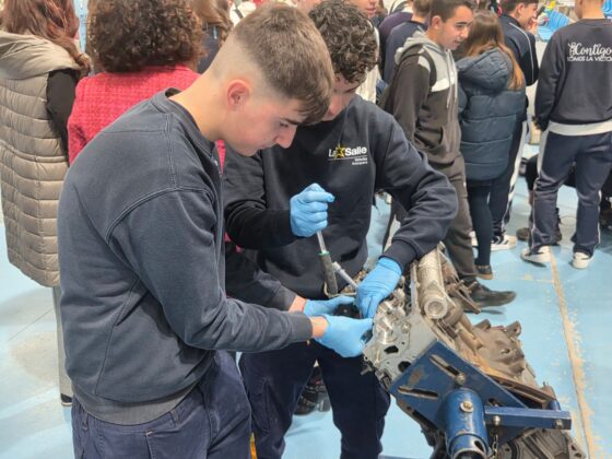 WhatsApp Image 2026 03 18 at 11.46.35