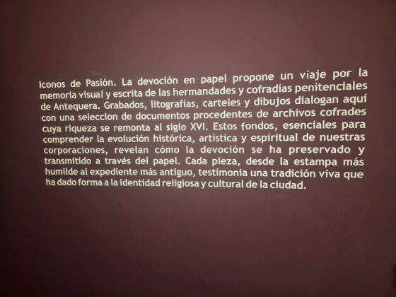 WhatsApp Image 2026 03 19 at 16.30.40