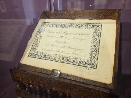 WhatsApp Image 2026 03 19 at 16.30.41