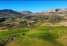 La Asociación Torcaleros suma su voz al rechazo a la planta de hidrógeno proyectada en el sur del Torcal