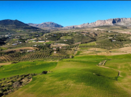 La Asociación Torcaleros suma su voz al rechazo a la planta de hidrógeno proyectada en el sur del Torcal
