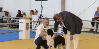 Archidona consolida el éxito de su Feria del Perro