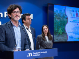 Villanueva de la Concepción celebra este domingo su XIX Día de la Haba con actividades para todos los públicos