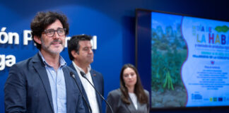 Villanueva de la Concepción celebra este domingo su XIX Día de la Haba con actividades para todos los públicos