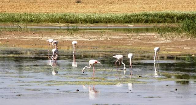 4BDCDFD2CA2BC9DD08B2051936D5CE53FD427DB3