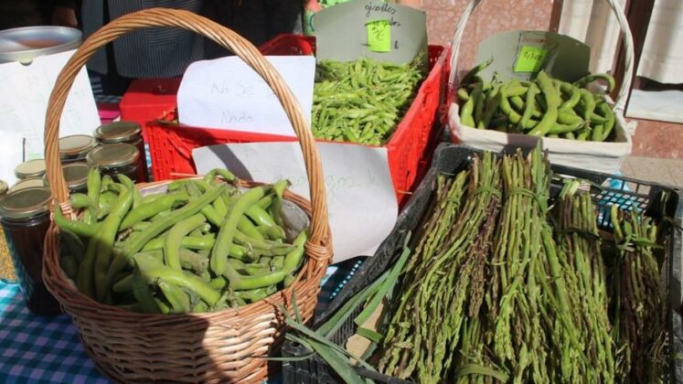 58ad14d8 ef6a 4a5a ad9a 3e3096aa0aae 16 9 aspect ratio default 0