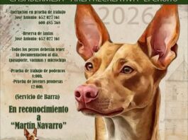 Casabermeja celebra el 1 de mayo su XXIV Feria del Perro