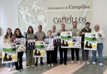 La Hermandad de San Benito Abad ultima los detalles de la XII Romería en honor al patrón de Campillos