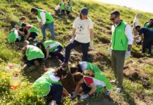 Sierra de Yeguas se suma a la iniciativa medioambiental ‘Un niño, un árbol’ de Fundación Unicaja