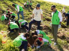 Sierra de Yeguas se suma a la iniciativa medioambiental ‘Un niño, un árbol’ de Fundación Unicaja