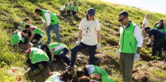 Sierra de Yeguas se suma a la iniciativa medioambiental ‘Un niño, un árbol’ de Fundación Unicaja