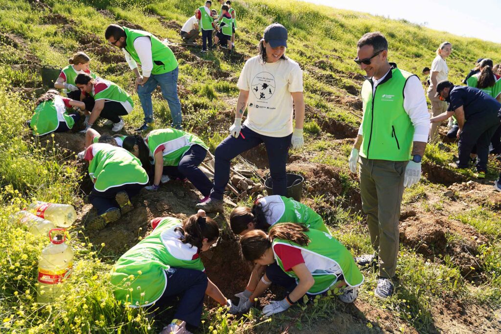 Campana arboles 1 1024x683 1