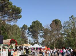 Cuevas de San Marcos invita a disfrutar de la romería de su patrón pidiendo “precaución” en el Embalse de Iznájar