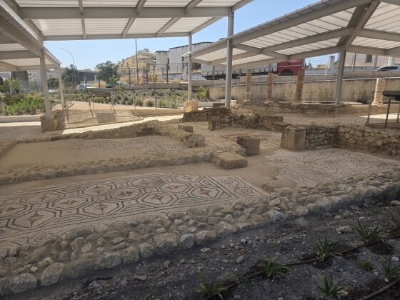 WhatsApp Image 2025 07 17 at 14.21.36 2 560x420 1