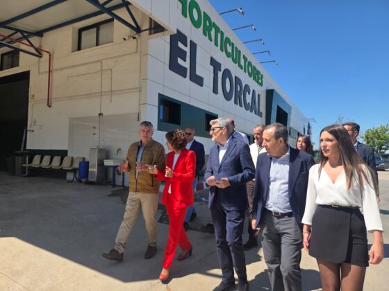 WhatsApp Image 2026 04 15 at 14.35.56 1