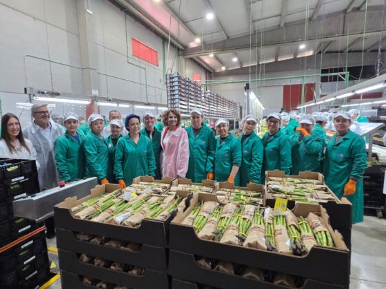 WhatsApp Image 2026 04 15 at 14.36.21