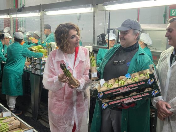 WhatsApp Image 2026 04 15 at 14.36.43