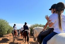 Naturaleza y aventura en el corazón de Antequera con Equialia
