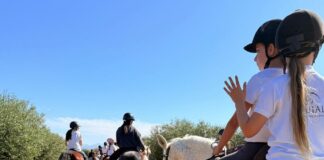 Naturaleza y aventura en el corazón de Antequera con Equialia