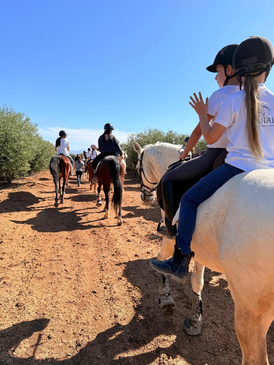 WhatsApp Image 2026 04 24 at 15. 1