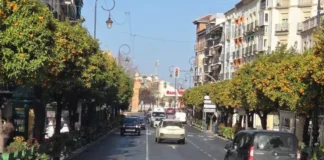 Comienza la licitación de la Alameda de Andalucía