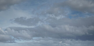 El grupo Calle Marién será el encargado de abrir el Trebufestival 2026