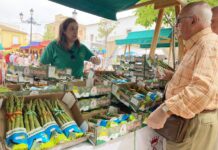 Sierra de Yeguas prepara la XXIV Feria del Espárrago y la Agricultura Ecológica