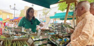 Sierra de Yeguas prepara la XXIV Feria del Espárrago y la Agricultura Ecológica