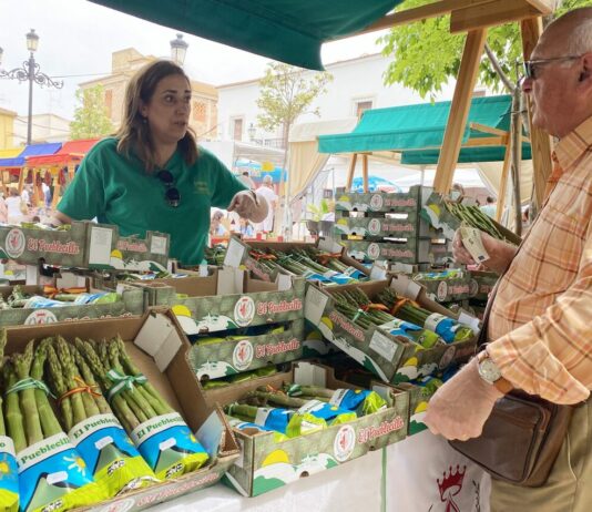 Sierra de Yeguas prepara la XXIV Feria del Espárrago y la Agricultura Ecológica