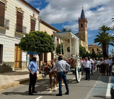 photo 2025 05 03 14 19 43