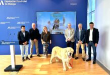 Archidona celebra este fin de semana la 33 edición de la Feria del Perro que espera recibir a más de 1.000 canes de más de 80 razas