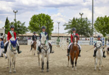 Las jóvenes promesas de la hípica brillan en el Campeonato Andaluz de Ponis de Antequera
