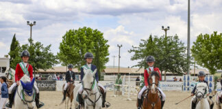 Las jóvenes promesas de la hípica brillan en el Campeonato Andaluz de Ponis de Antequera