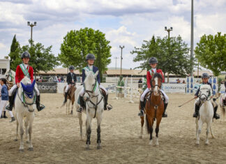 Las jóvenes promesas de la hípica brillan en el Campeonato Andaluz de Ponis de Antequera