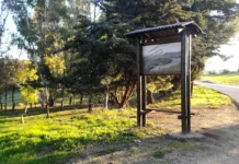 Teba cancela la acampada de su Romería por el mal estado del Paraje La Puente