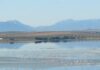 Cuatro municipios de la comarca de Antequera prohíben llenar piscinas y regar huertos ante la situación “crítica” de los acuíferos