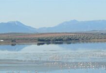Cuatro municipios de la comarca de Antequera prohíben llenar piscinas y regar huertos ante la situación “crítica” de los acuíferos
