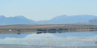 Cuatro municipios de la comarca de Antequera prohíben llenar piscinas y regar huertos ante la situación “crítica” de los acuíferos