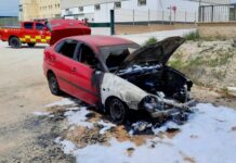 Susto en la A-7203: Arde un coche junto a la olivarera de Villanueva del Trabuco