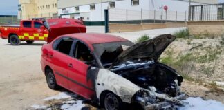 Susto en la A-7203: Arde un coche junto a la olivarera de Villanueva del Trabuco
