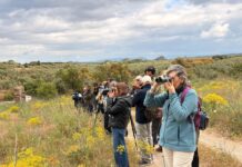 La Reserva Natural Lagunas de Campillos acoge una ruta guiada para poner en valor su biodiversidad