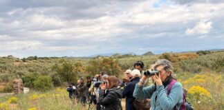La Reserva Natural Lagunas de Campillos acoge una ruta guiada para poner en valor su biodiversidad