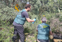 Investigan a cuatro personas por caza furtiva en Campillos