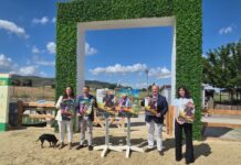 La Primavera Hípica de Antequera registrará alrededor de 300 salidas