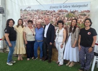 La Cabra Malagueña exhibe su potencial en Agrogant con más de 180 ejemplares y un amplio programa de actividades