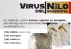 Humilladero inicia una campaña preventiva contra el virus del Nilo