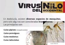 Humilladero inicia una campaña preventiva contra el virus del Nilo