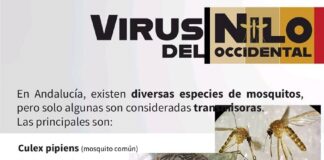 Humilladero inicia una campaña preventiva contra el virus del Nilo