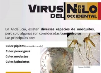 Humilladero inicia una campaña preventiva contra el virus del Nilo